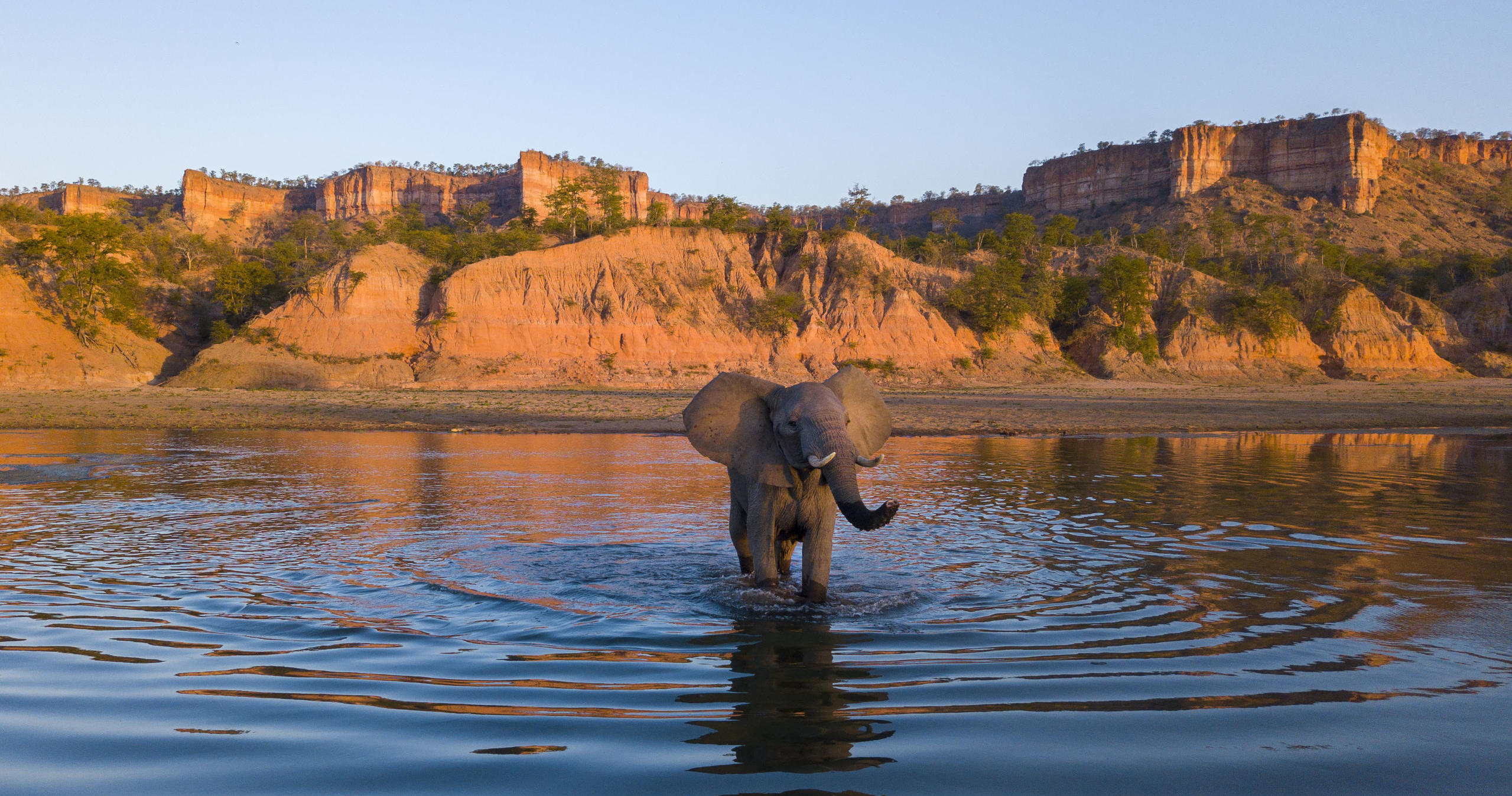 cropped-dji_0453_elephant-scaled-1